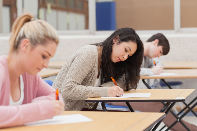 Artistic Behavior in the Human Female Essay Artistic Behavior in the Human Female Essay