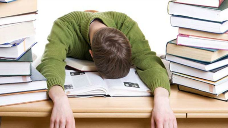 Administrative law in Public Policy Essay Administrative law in Public Policy Essay