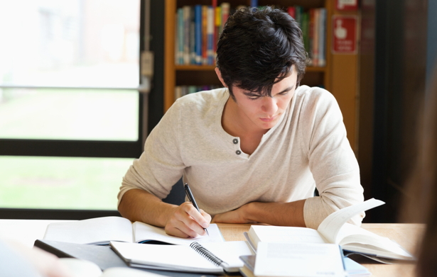 Critical reflections on the Westphalian assumptions Essay Critical reflections on the Westphalian assumptions Essay