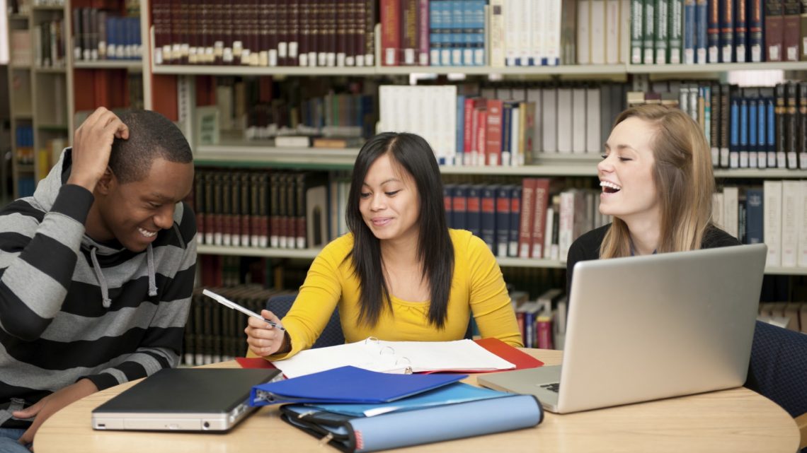 Statement of English Language Ability Essay Statement of English Language Ability Essay