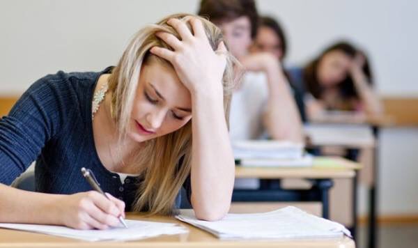 All About Me Letter Essay All About Me Letter Essay